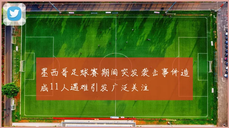 墨西哥足球赛期间突发袭击事件造成11人遇难引发广泛关注