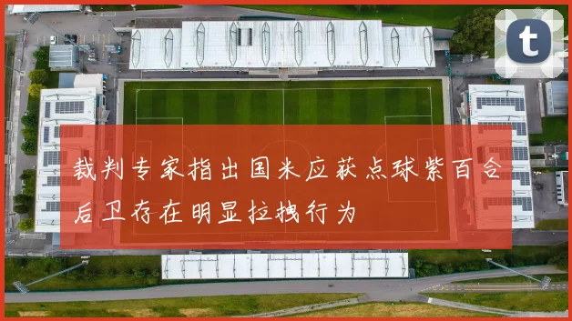 裁判专家指出国米应获点球紫百合后卫存在明显拉拽行为