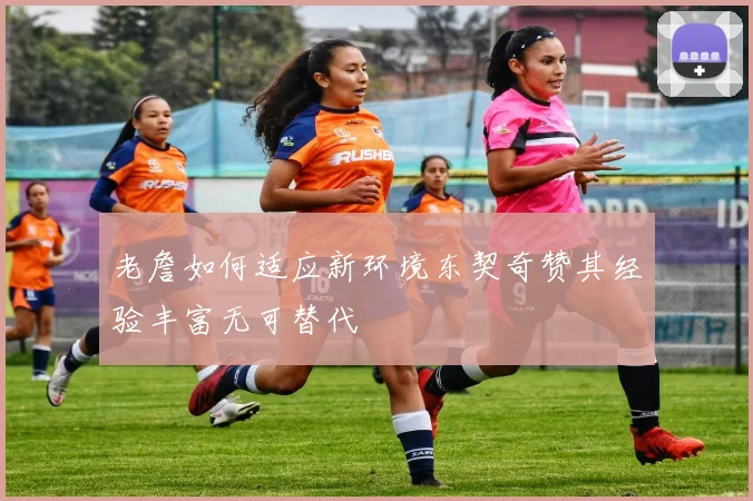 老詹如何适应新环境东契奇赞其经验丰富无可替代